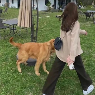 迷糊餐厅第二季封面
