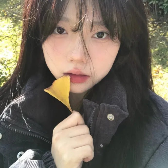 浦和小调封面
